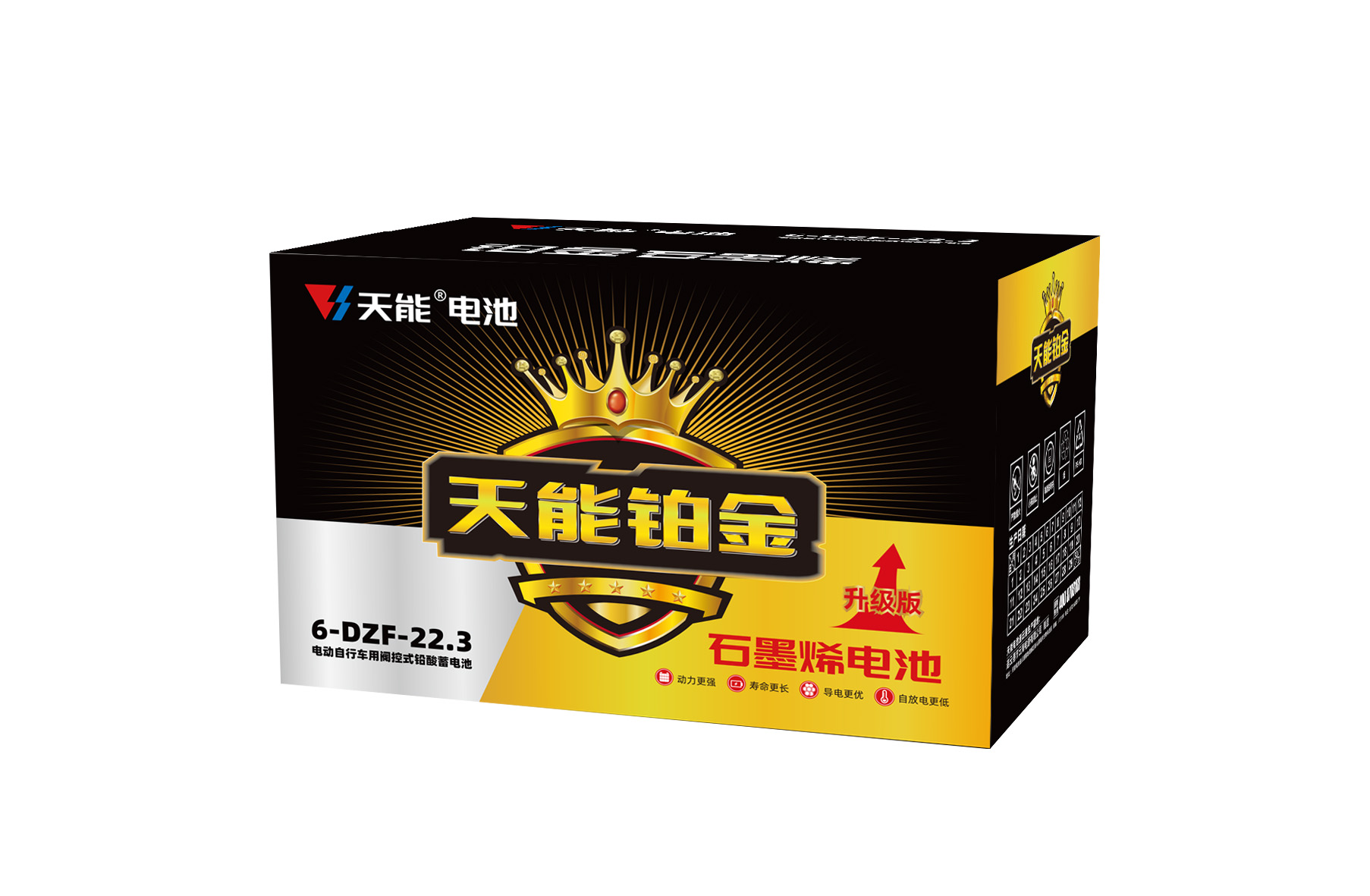Z6·尊龙凯时铂金电池