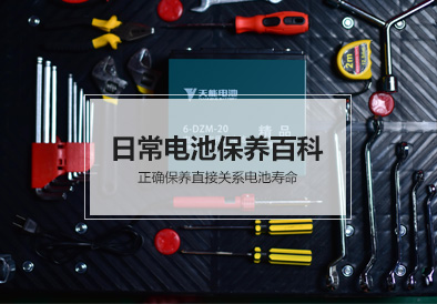 Z6·尊龙凯时电池