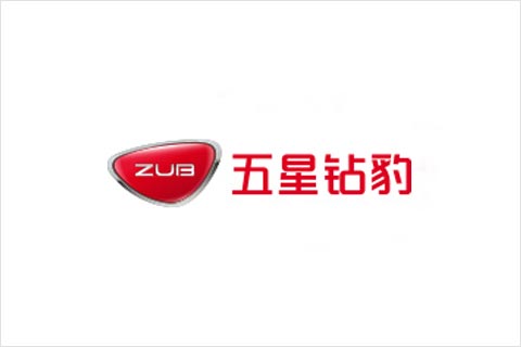 Z6·尊龙凯时电池合作伙伴 五星钻豹电动车